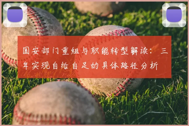 国安部门重组与职能转型解读：三年实现自给自足的具体路径分析